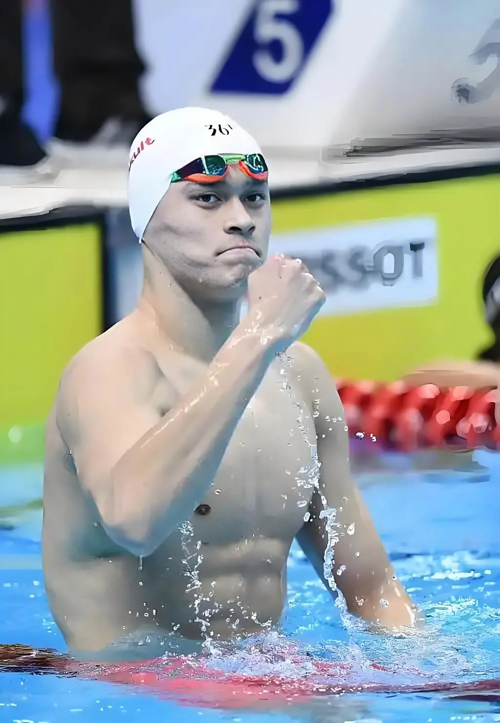 中国男子游, 背后是张琳